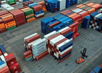 Crea CSP plataforma para vigilar desempeño de aduanas