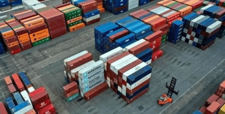 Crea CSP plataforma para vigilar desempeño de aduanas