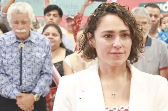 Ve Pancho declive del PAN