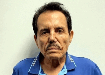 Aceptará ‘Mayo’ culpa por empresa criminal y conspiración