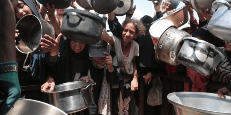 ONU declara oficialmente la situación de hambruna en la Franja de Gaza