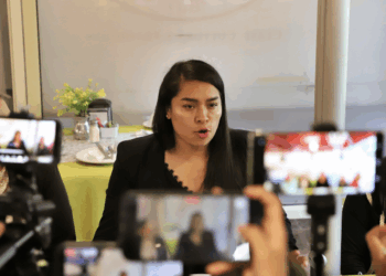 Operan venta ilegal de fauna exótica