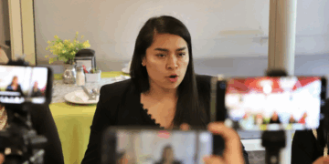 Operan venta ilegal de fauna exótica