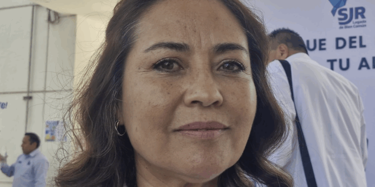 Operan venta ilegal de fauna exótica