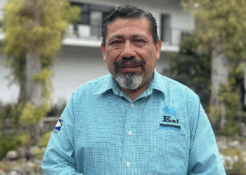 Operan venta ilegal de fauna exótica