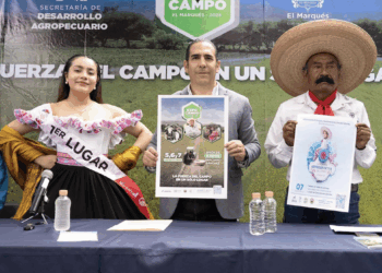 Prevé aumento de hasta 45% en ventas por regreso a clases