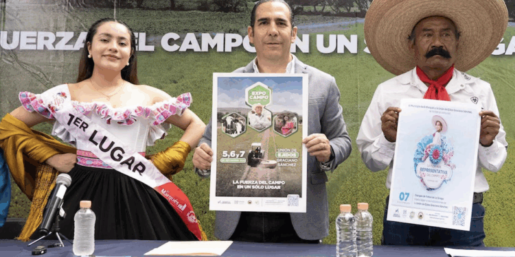 Prevé aumento de hasta 45% en ventas por regreso a clases