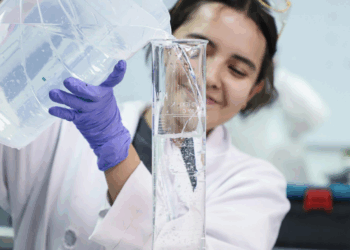 Plan conjunto de la UAQ   y la Universidad de Illinois