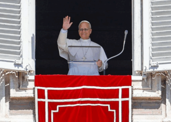 Papa León XIV pide que termine “la pandemia de las armas”