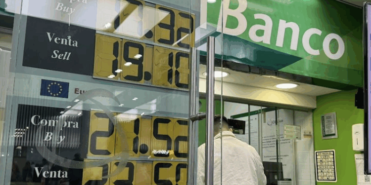 Planteará México Comité del Acero