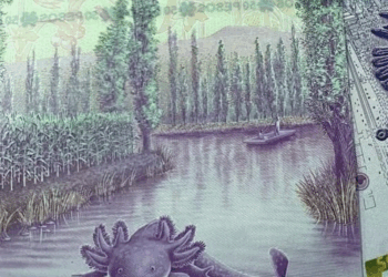 Denuncian a Fintech por fraude de 1,600 mdp