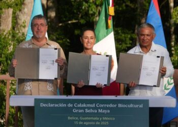 México, Guatemala y Belice crean el Corredor Biocultural de la Gran Selva Maya