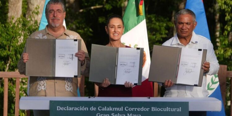 México, Guatemala y Belice crean el Corredor Biocultural de la Gran Selva Maya
