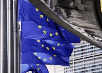 Negocian 5 firmas compra de Vector