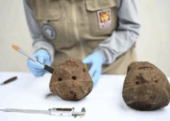 Denuncian robo de piedras de Pompeya