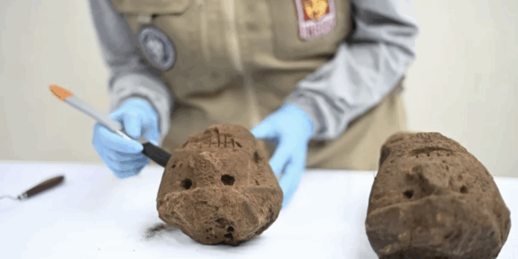Denuncian robo de piedras de Pompeya
