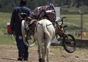 Marcada disparidad entre ricos y pobres