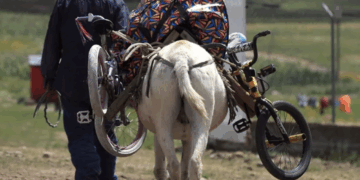 Marcada disparidad entre ricos y pobres