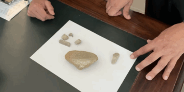 Denuncian robo de piedras de Pompeya