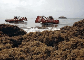 Amenaza mal clima a autoconstrucción