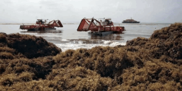 Amenaza mal clima a autoconstrucción