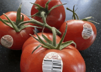 Inflación en Estados Unidos registra 2.7 % durante julio