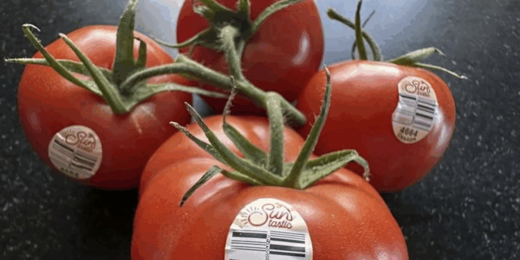 Inflación en Estados Unidos registra 2.7 % durante julio