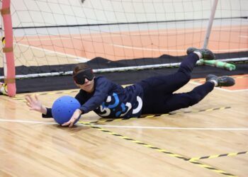 Descartan tensión entre Norris y Piastri