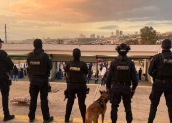 Descartan tensión entre Norris y Piastri