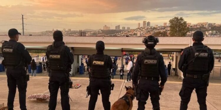 Descartan tensión entre Norris y Piastri