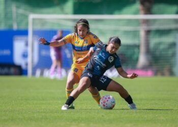 Prevé aumento de hasta 45% en ventas por regreso a clases