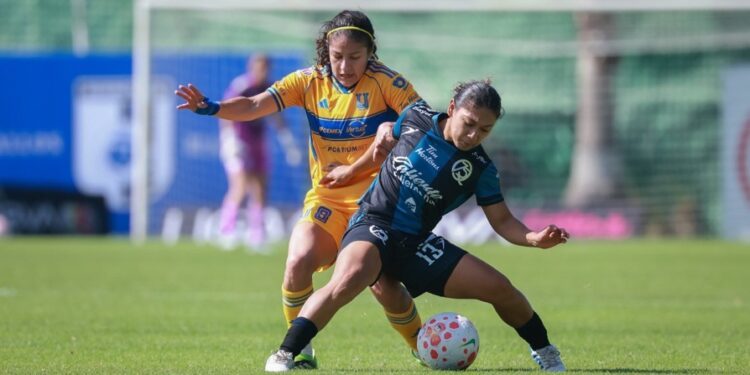 Prevé aumento de hasta 45% en ventas por regreso a clases