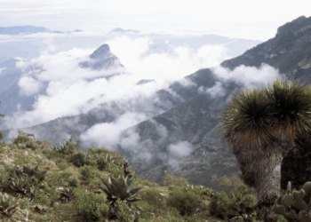 Más del 37% del territorio de Querétaro está protegido