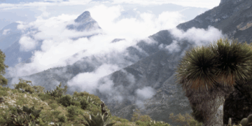 Más del 37% del territorio de Querétaro está protegido