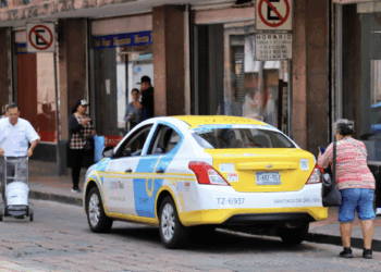 Avanza entrega de concesiones