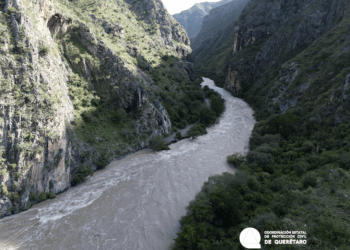 Más de 70 estudiantes del COBAQ 19 ya cuentan con Transporte Escolar