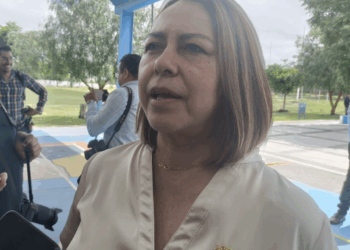 Van contra deudores alimentarios