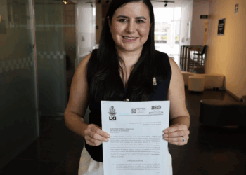 Van contra deudores alimentarios