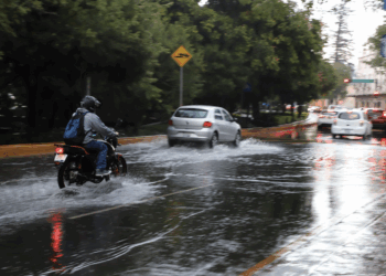 Es El Marqués referente nacional en protección y bienestar animal