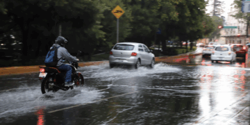 Es El Marqués referente nacional en protección y bienestar animal