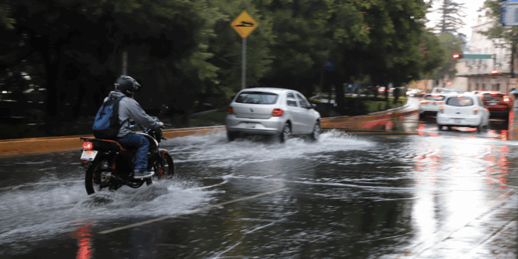 Es El Marqués referente nacional en protección y bienestar animal