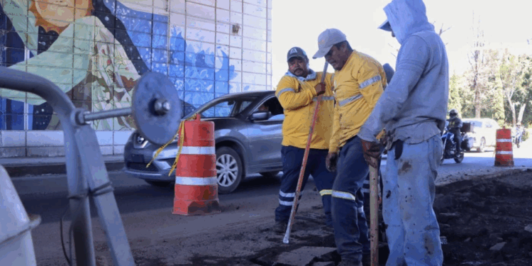 Es El Marqués referente nacional en protección y bienestar animal