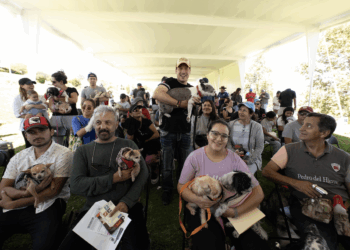 Es El Marqués referente nacional en protección y bienestar animal