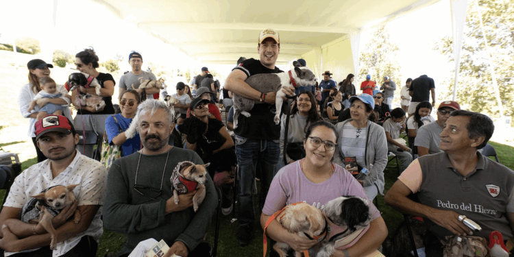 Es El Marqués referente nacional en protección y bienestar animal