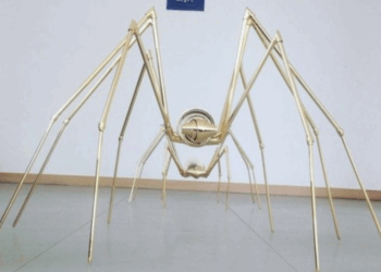 Ya no quedan ilusiones: Pankaj Mishra