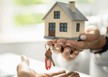 Extendería EU cierre a ganado hasta el 2026