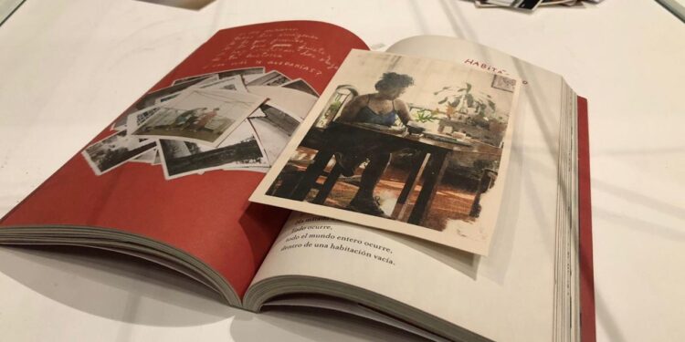 El CQI muestra al público El cine de Guadalupe Sánchez Sosa y Poetrait