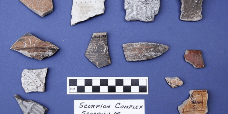 “La arquitectura puede y debe sorprendernos”