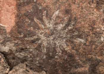 Pinturas rupestres auténticas: INAH