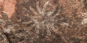 Pinturas rupestres auténticas: INAH